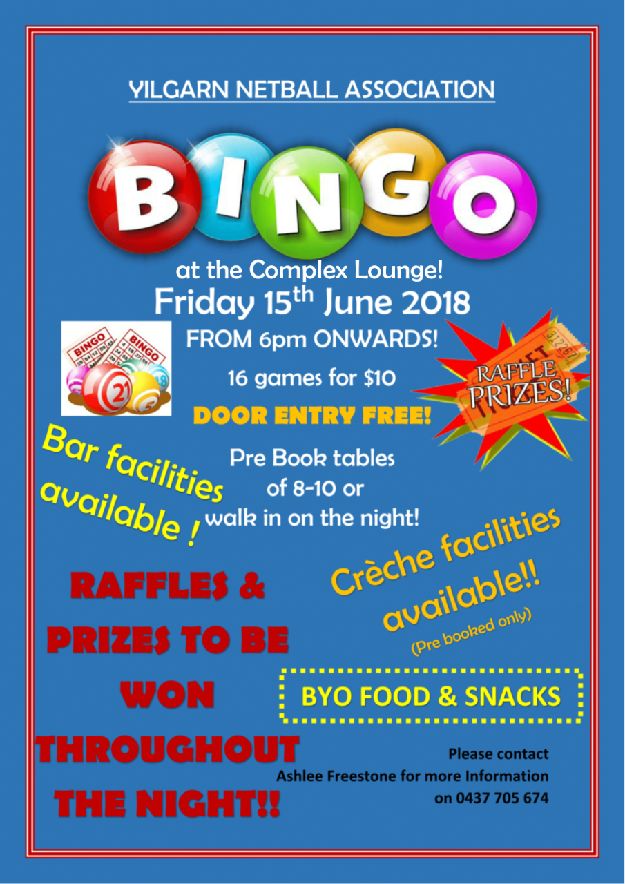 bingo night poster