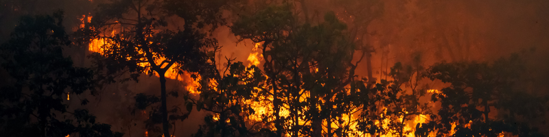 Fire header