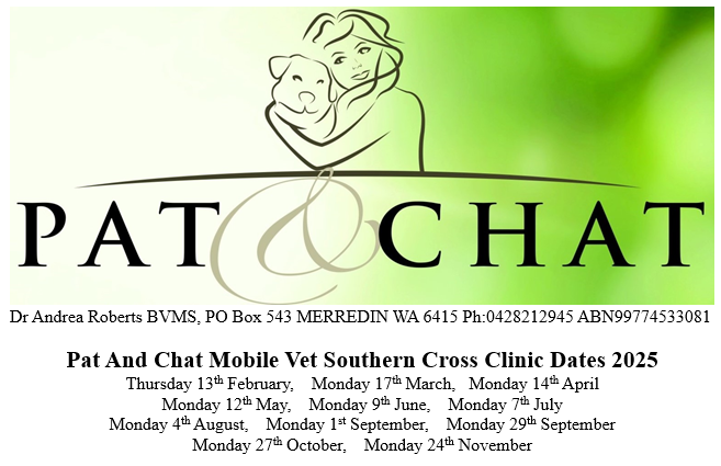 Pat and Chat dates