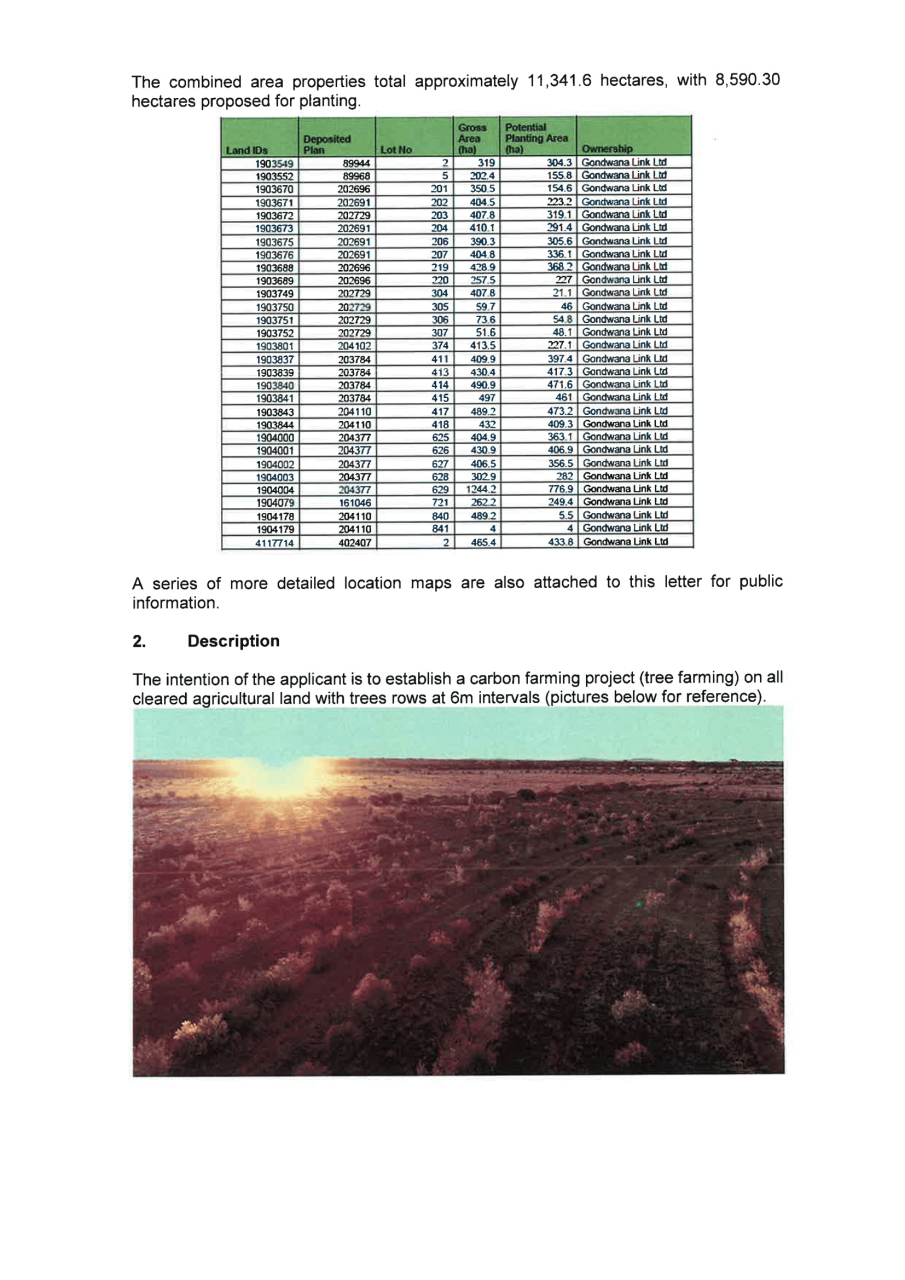 tree farm2