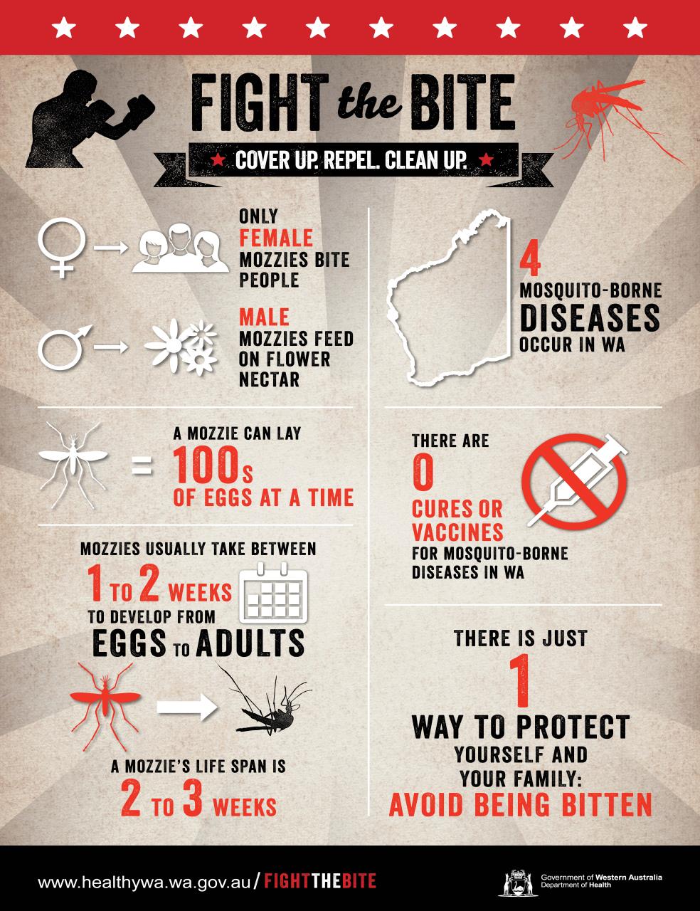 Fight the bite infographic