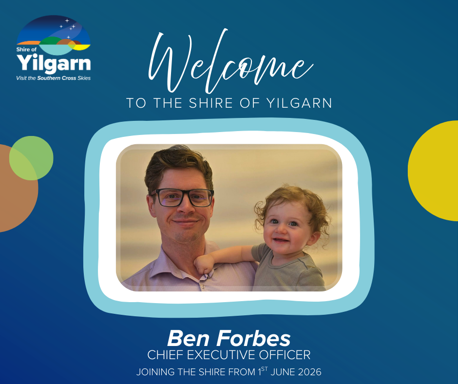 Appointment of Chief Executive Officer